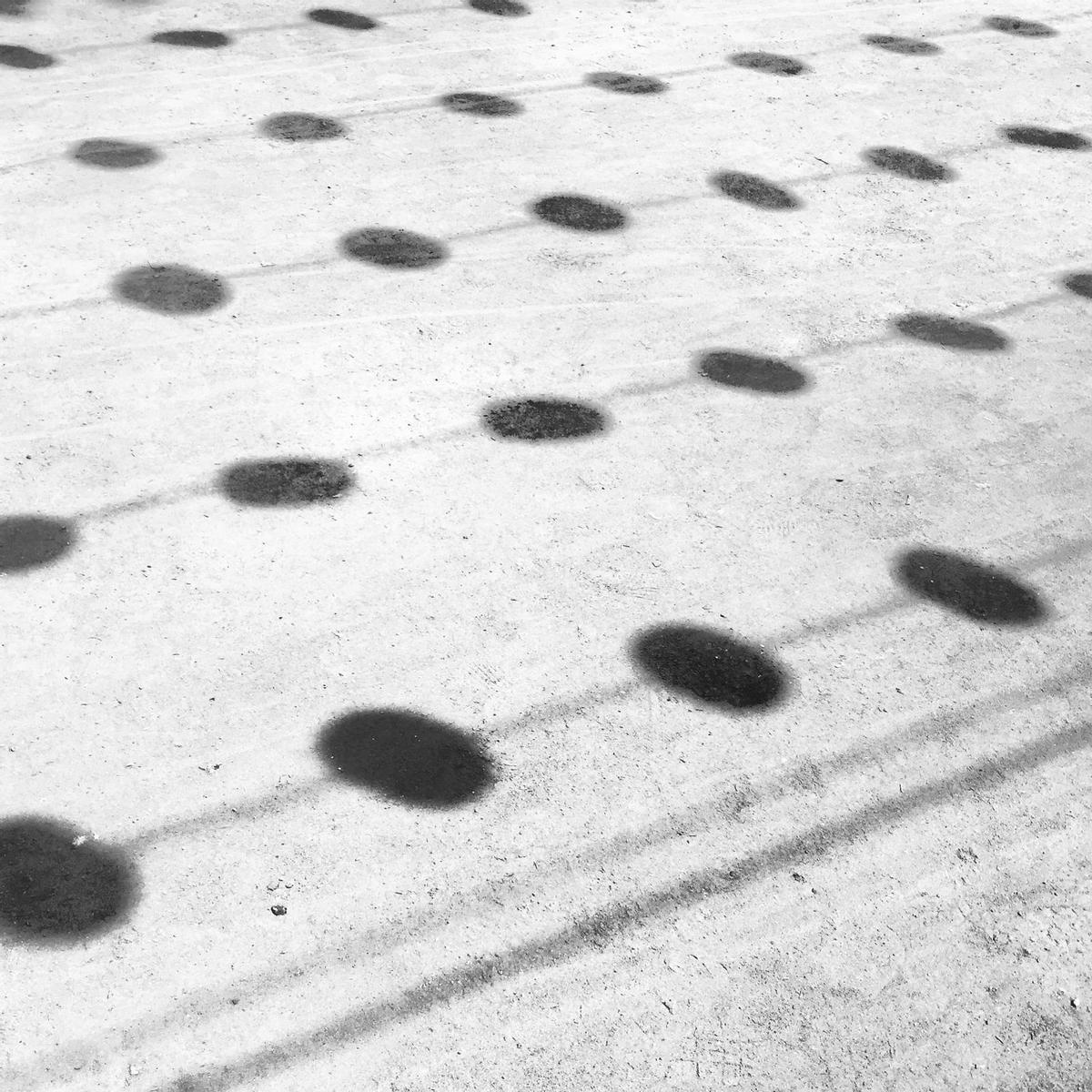 La sombra de los farolillos reflejados sobre el albero del Real.