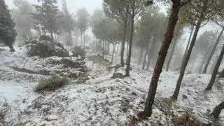 Primera nevada del invierno: Los Pedroches y la Subbética cordobesa amanecen bajo un manto blanco