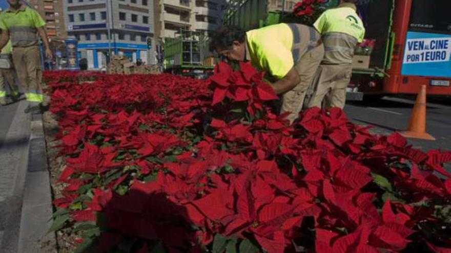 Un manto rojo para las fiestas