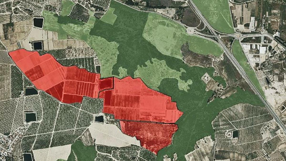 En rojo, las parcelas que ocuparía la planta fotovoltaica, y en verde el suelo forestal que las rodea. | INFORMACIÓN