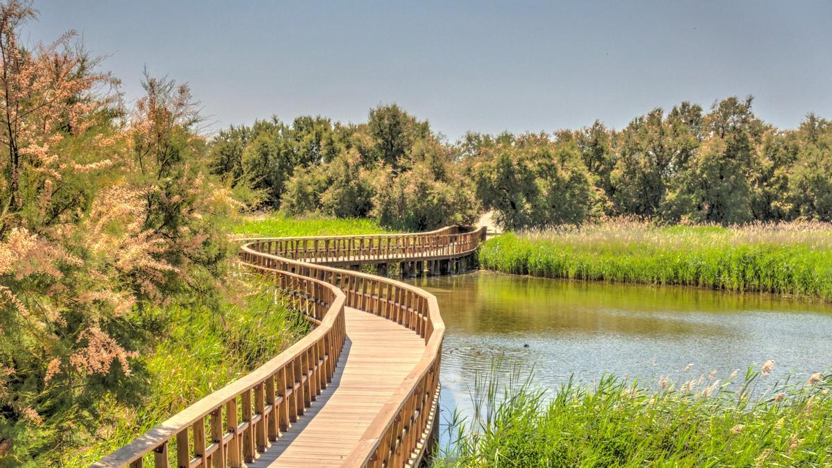 Tablas de Daimiel, Castilla La-Mancha, Mar de viñedos, agua
