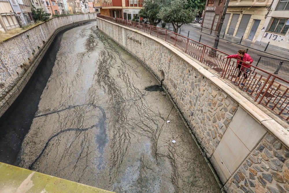 Así está el cauce del río Segura en Orihuela después del recorte del caudal impuesto por la CHS. Sin agua y con los lodos generando malos olores.