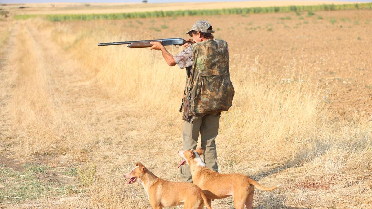 Inicio de la media veda en Castilla y león