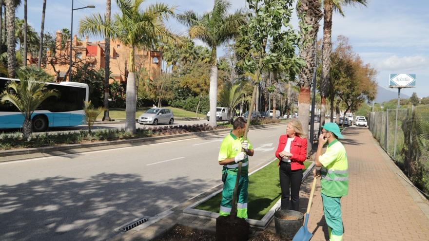 La avenida Príncipe Salman cuenta ya con una red de riego renovada