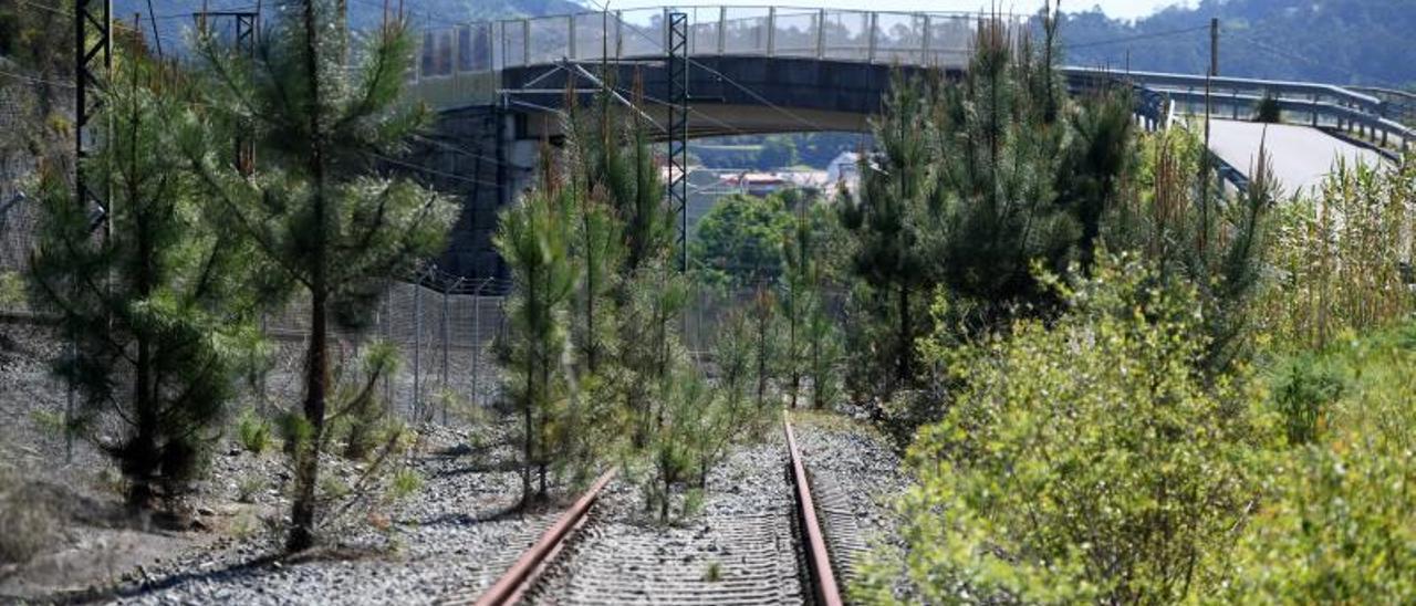 Los fondos europeos harán de la gran vía verde de las Rías Baixas una realidad