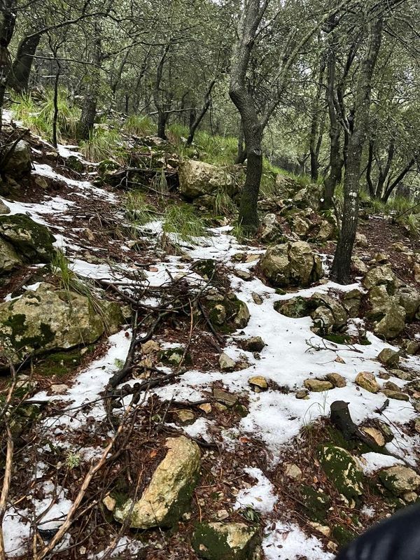 Schnee auf Mallorca – so schneit es in der Tramuntana