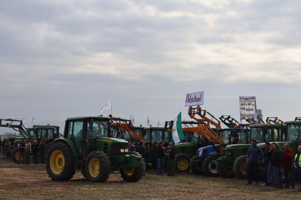 Tractorada de los agricultores y ganaderos malagueños contra los precios bajos que impone la industria.