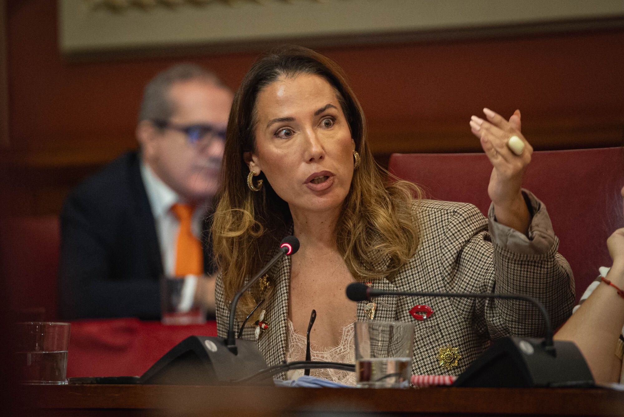 Pleno del Ayuntamiento de Santa Cruz