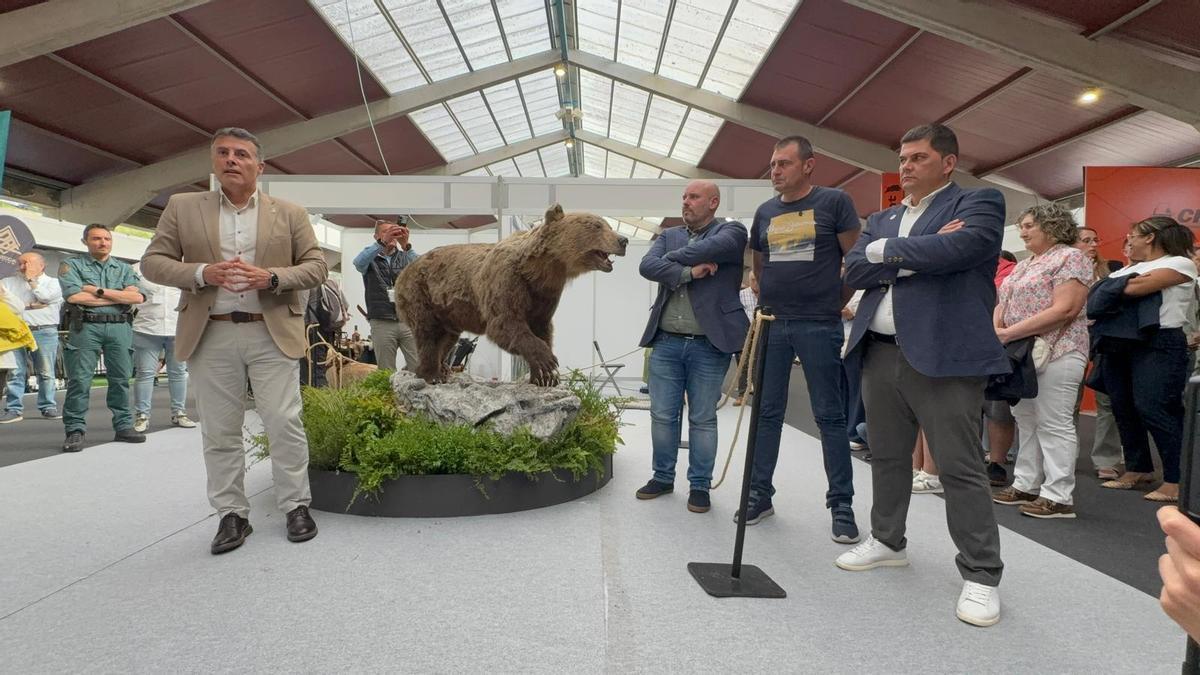 El “oso rubio” de Xedré protagoniza la inauguración de Narcenatur en Cangas del Narcea