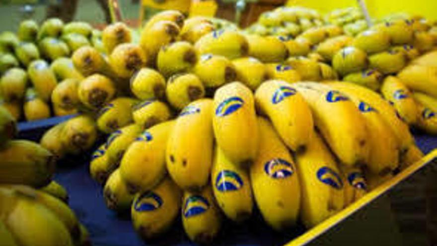 Telepizza y Rodilla rechazaron una donación de plátanos de Canarias para los menús escolares de Ayuso