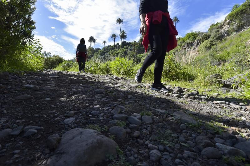 El Guiniguada, un vergel a tiro de piedra