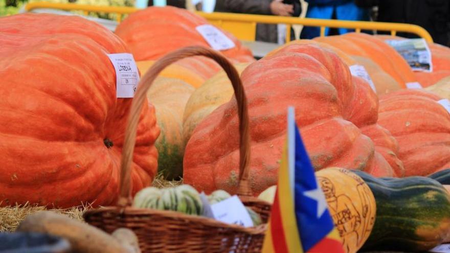 La Fira dels Ous d&#039;Euga mescla cultura, gastronomia i carbasses gegants