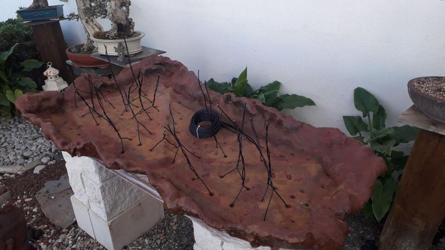 Clase maestra sobre el arte del bonsái con Alberto Gemar en Santa Eulària