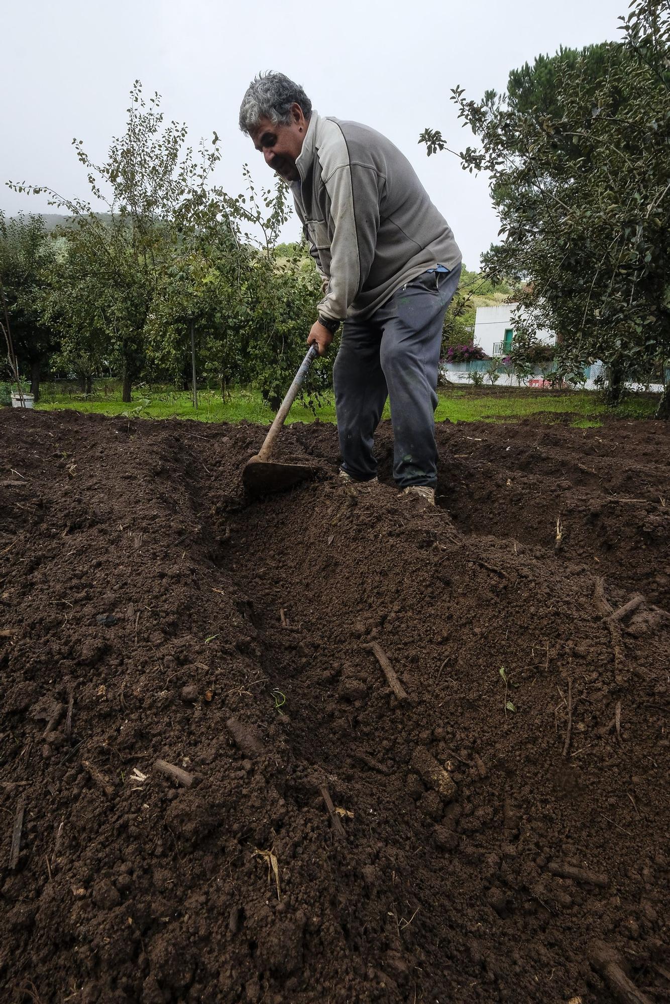 Un chubasco de manzanas