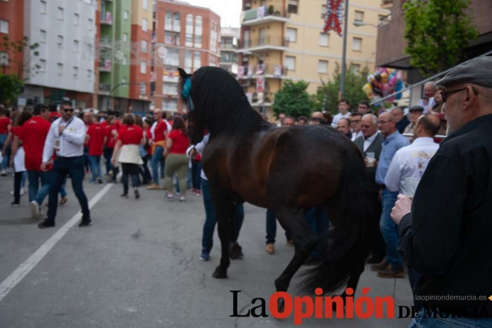 Caballos del Vino: Concurso morfológico (salida Pl