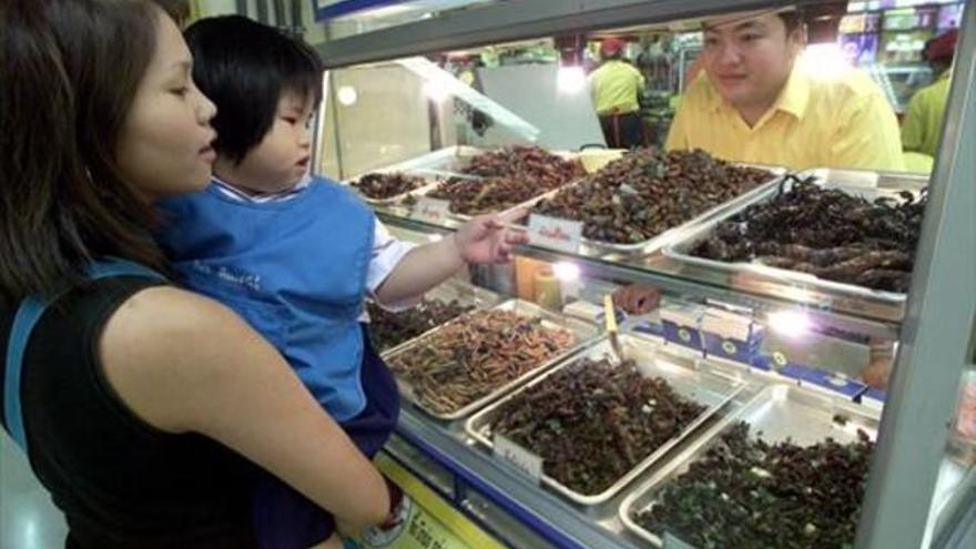 Insectos y carne de laboratorio: cada vez más cerca