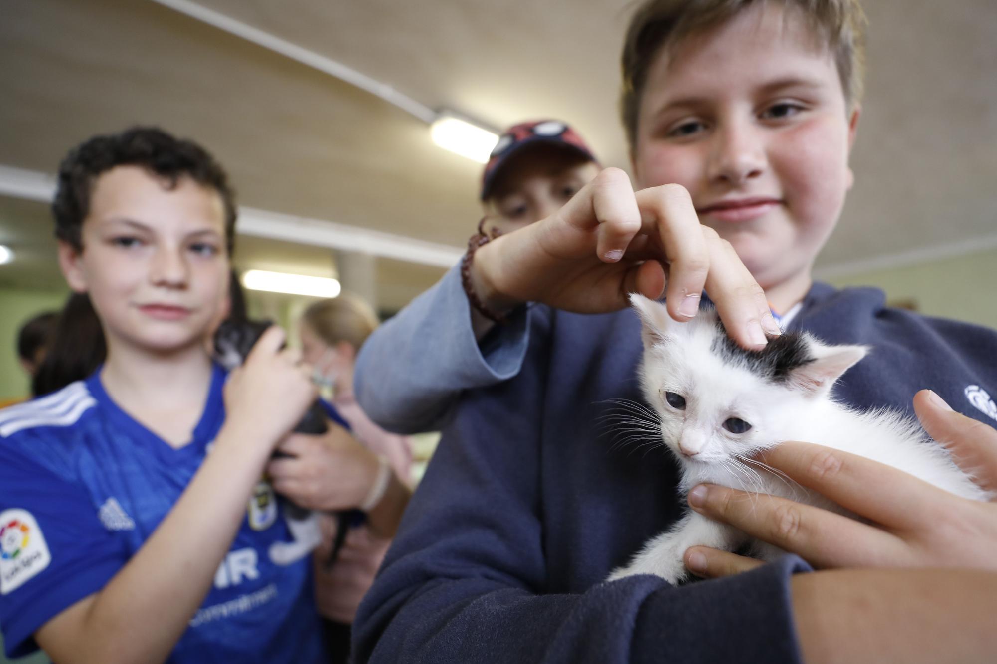 El Albergue de Animales visita a los niños del Gesta