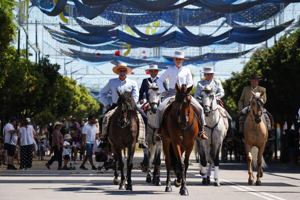 Primeros caballos en el Cortijo de Torres