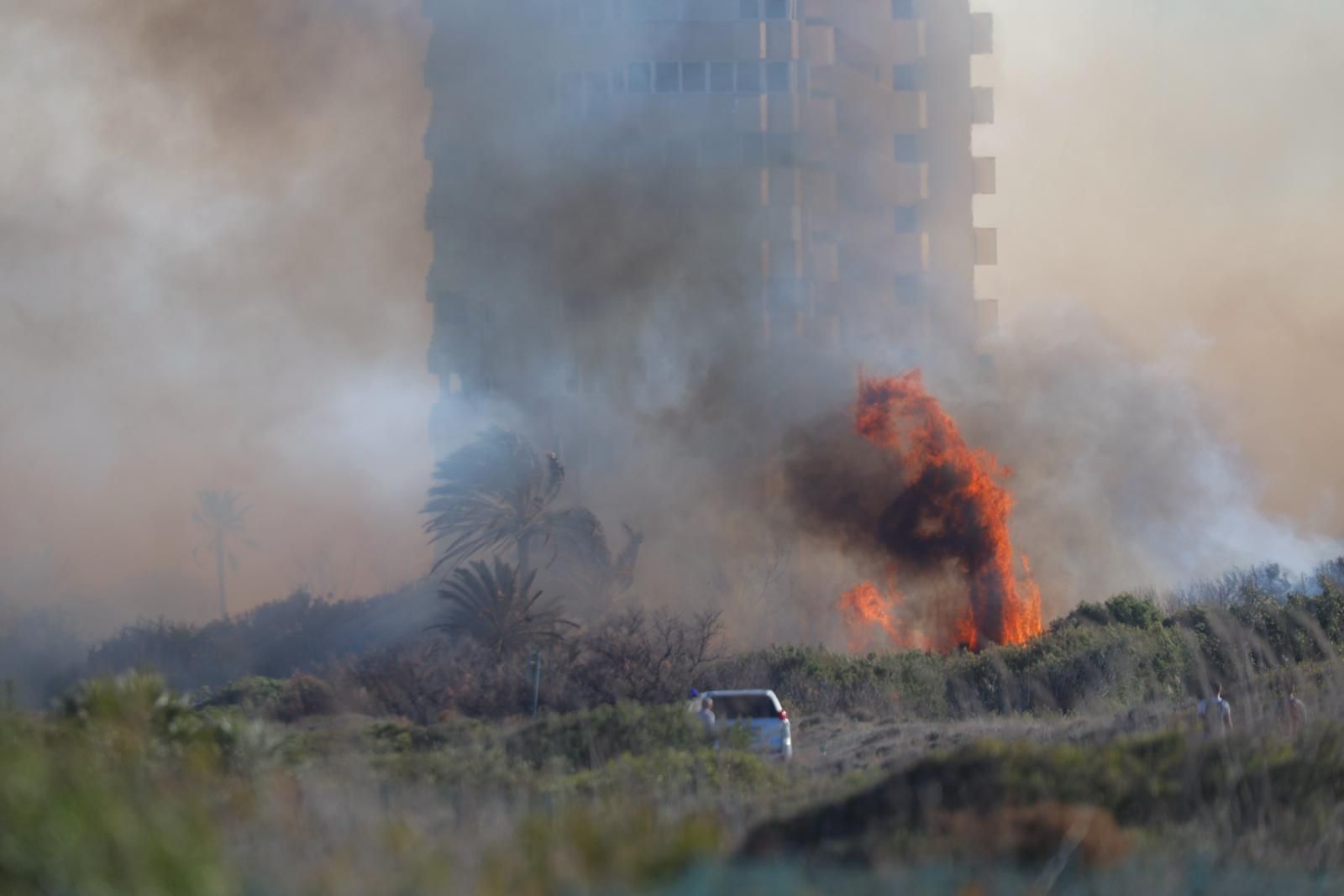 Declarado un incendio en el Saler