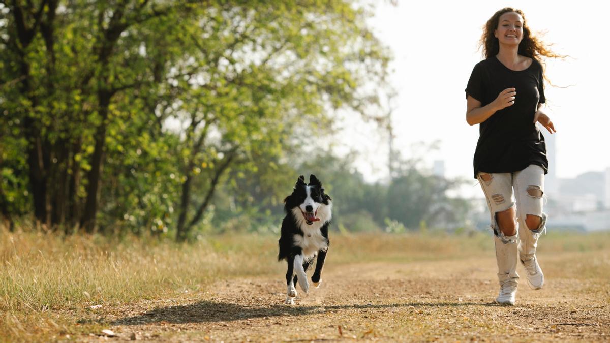 Estas son las mejores razas de perros con los que salir a correr.