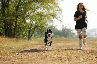 Las mejores razas de perros para salir a correr o hacer "canicross"