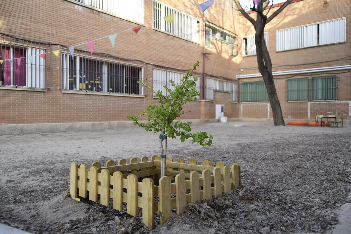 El CEIP Fernando de los Ríos de Mislata, en una imagen de archivo.