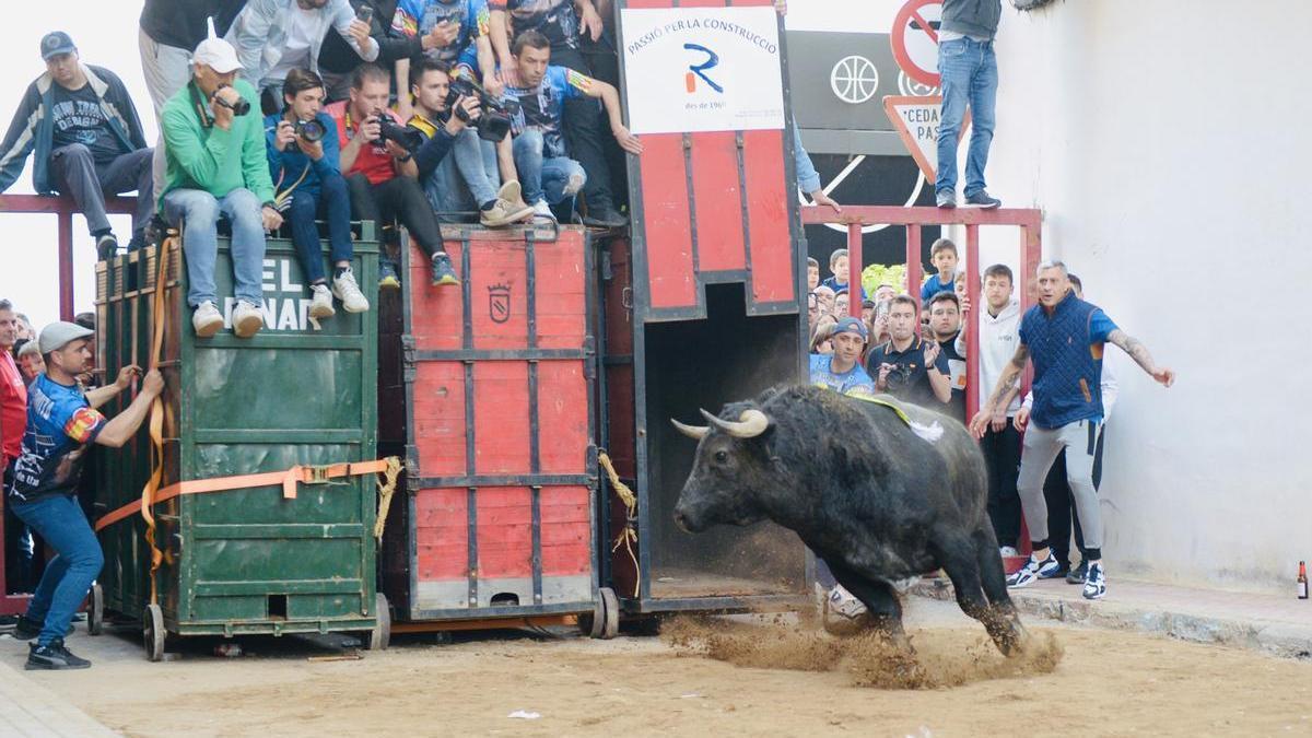 Las de Sant Vicent son las fiestas que inaugurarán la temporada de 'bous al carrer' en la Vall en menos de un mes.