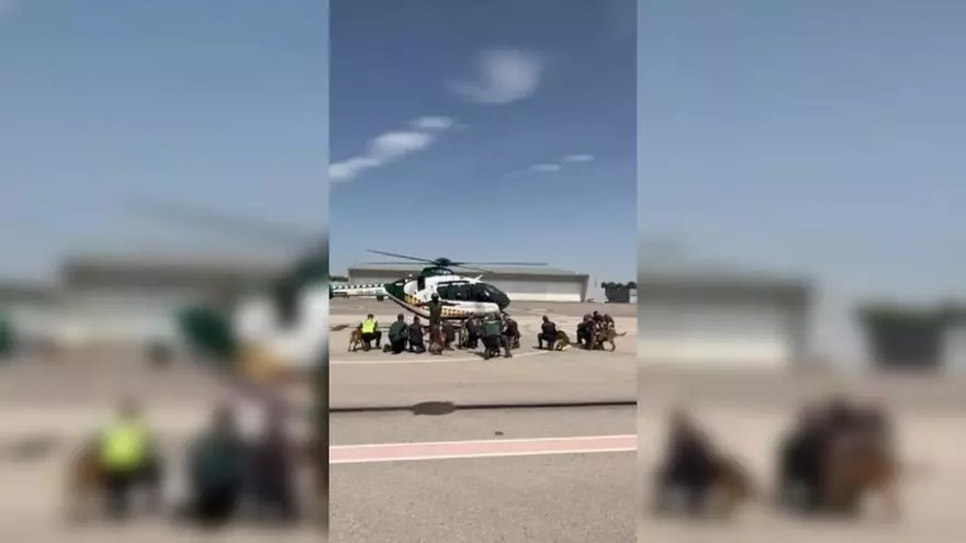 Entrenamiento de las unidades caninas de la Guardia Civil