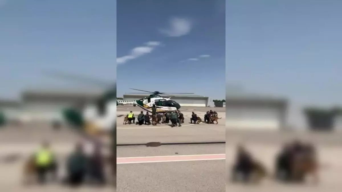 Así entrenan los perros de la Guardia Civil junto al servicio aéreo para la búsqueda de personas