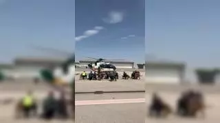Entrenamiento de las unidades caninas de la Guardia Civil