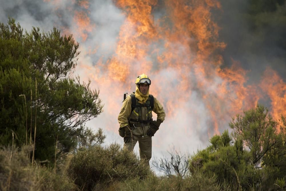 Incendio en los montes de León