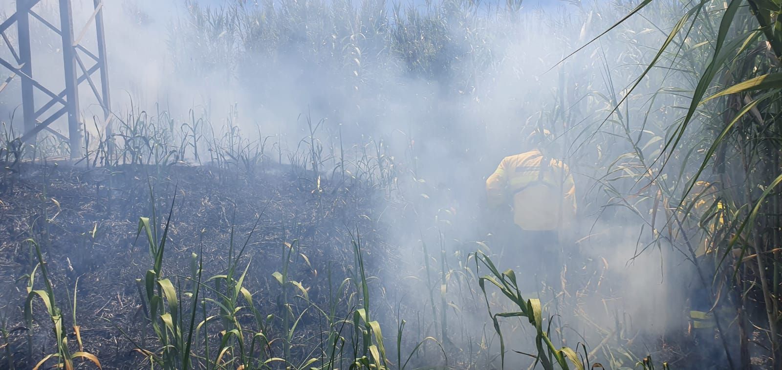 Conato de incendio en Pino Santo (27/06/21)