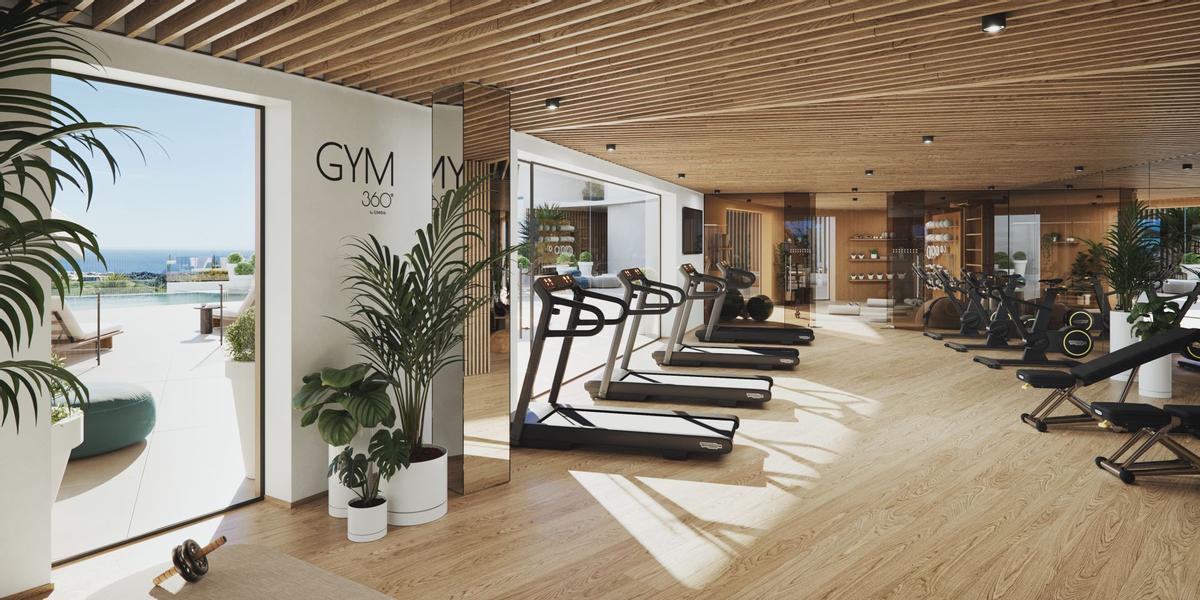 Gimnasio