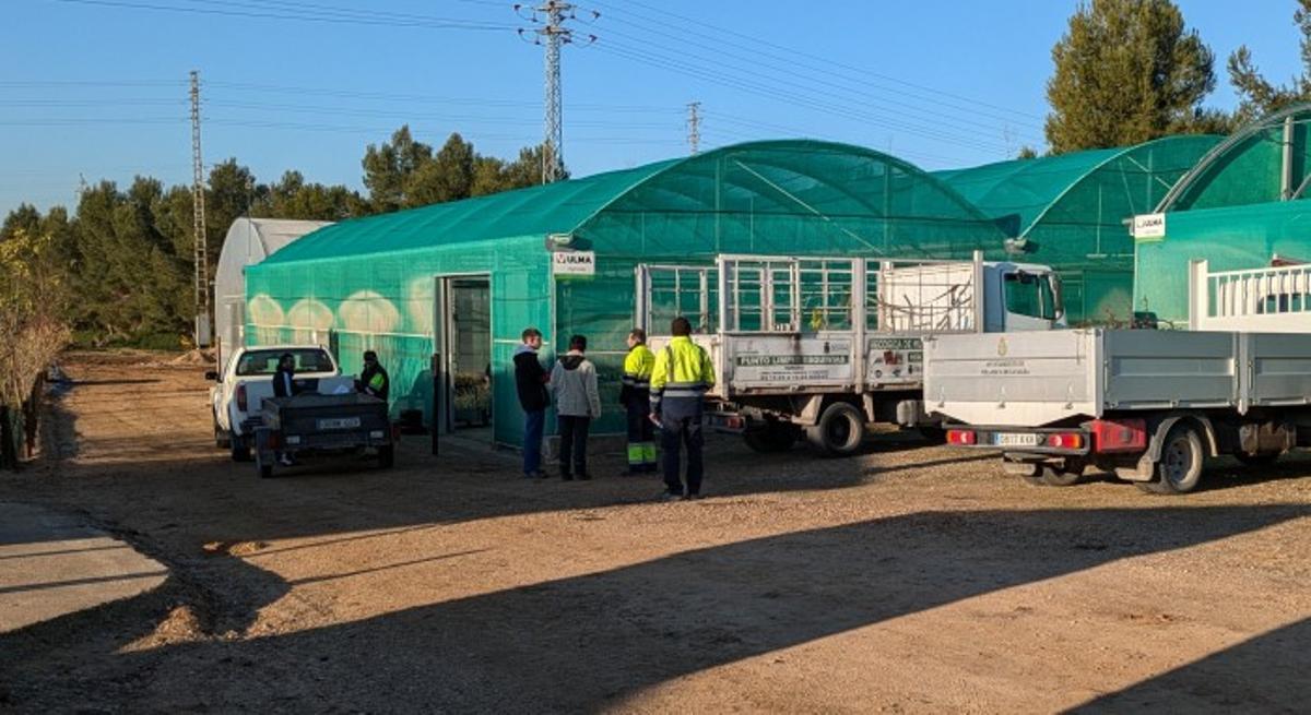 La Diputación reparte gratuitamente más de 25.000 árboles y arbustos a ayuntamientos, centros educativos y asociaciones de la provincia de Toledo