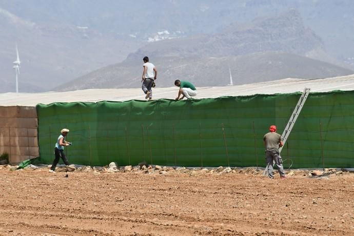 17/07/2019 POZO IZQUIERDO. SANTA LUCIA DE TIRAJANA. Tierra en los Duplex de Pozo Izquierdo por las obras de unos invernaderos.  Fotógrafa: YAIZA SOCORRO.  | 17/07/2019 | Fotógrafo: Yaiza Socorro