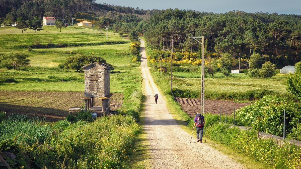 Camino de Santiago, Norte