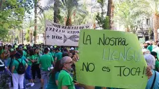 Dos facultades de la Universidad de Alicante dan su respaldo a la huelga de profesores