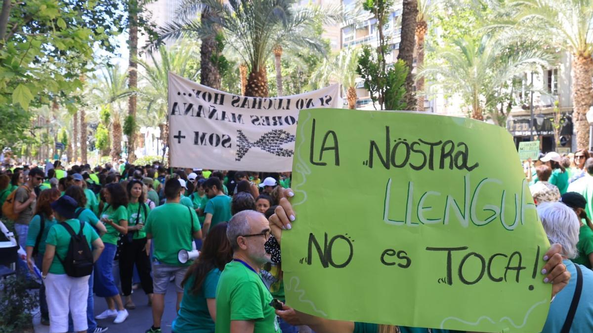 Esto es lo que opinan los alicantinos sobre la huelga de profesores