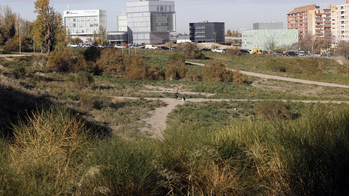El parque 'informal' de La Almozara que desaparecerá para hacer piscinas