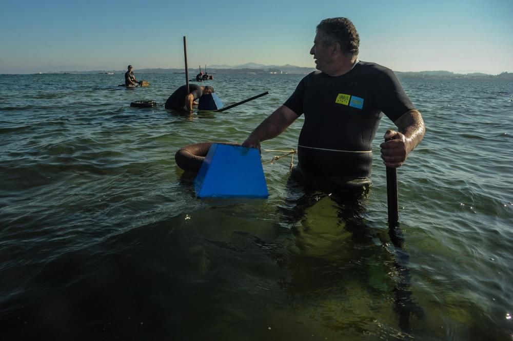 El marisqueo también genera turismo