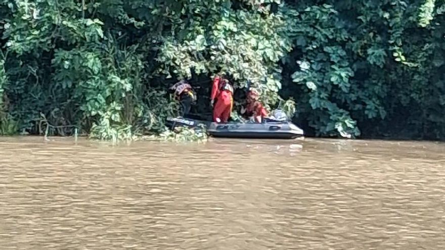 Els Bombers rescatant el gos de la llera del riu