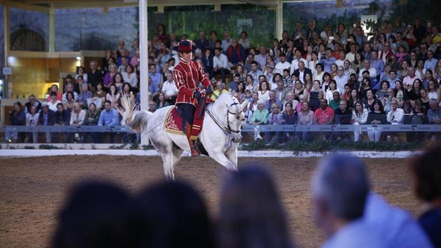 Espectáculos en la noche