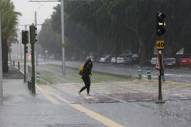 Delia Padrón lluvias , temporal , barrancos ...