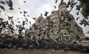 Un home alimenta un grup de coloms a davant de l’Hotel Taj Mahal, un dels objectius del comando terrorista que va assaltar la ciutat de Bombai (Índia) el novembre del 2008 i va acabar amb la vida de 166 persones i va causar uns 300 ferits.