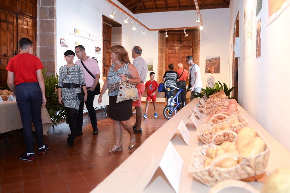 Feria de la Papa de Teror, 2017