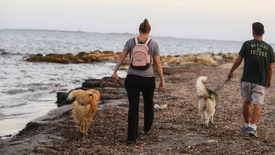 La playa para perros se habilitará en la zona del cabo aislada del resto de calas para evitar conflictos con el resto de bañistas.