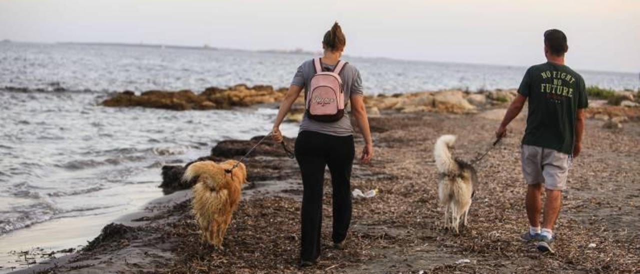 La playa para perros se habilitará en la zona del cabo aislada del resto de calas para evitar conflictos con el resto de bañistas.