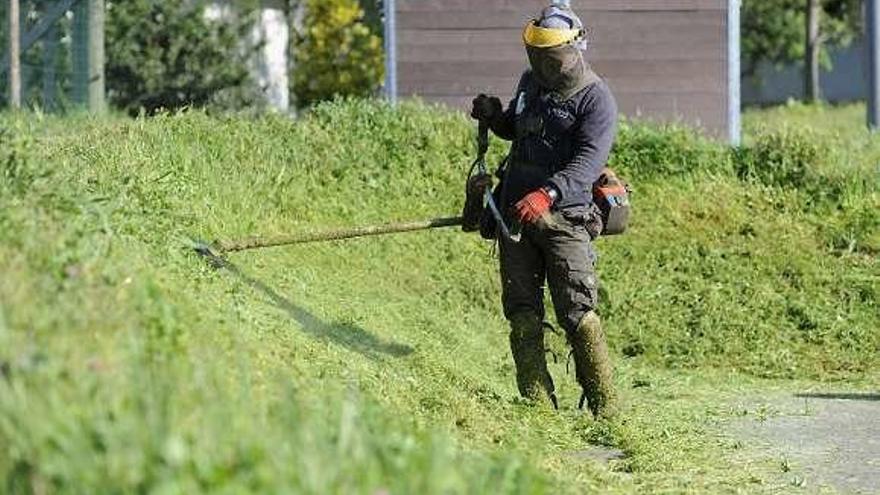 Operario del servicio de zonas verdes de Lalín. // Bernabé/Javier Lalín