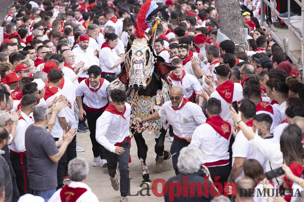 Así se ha vivido la carrera de Los Caballos del Vino en Caravaca