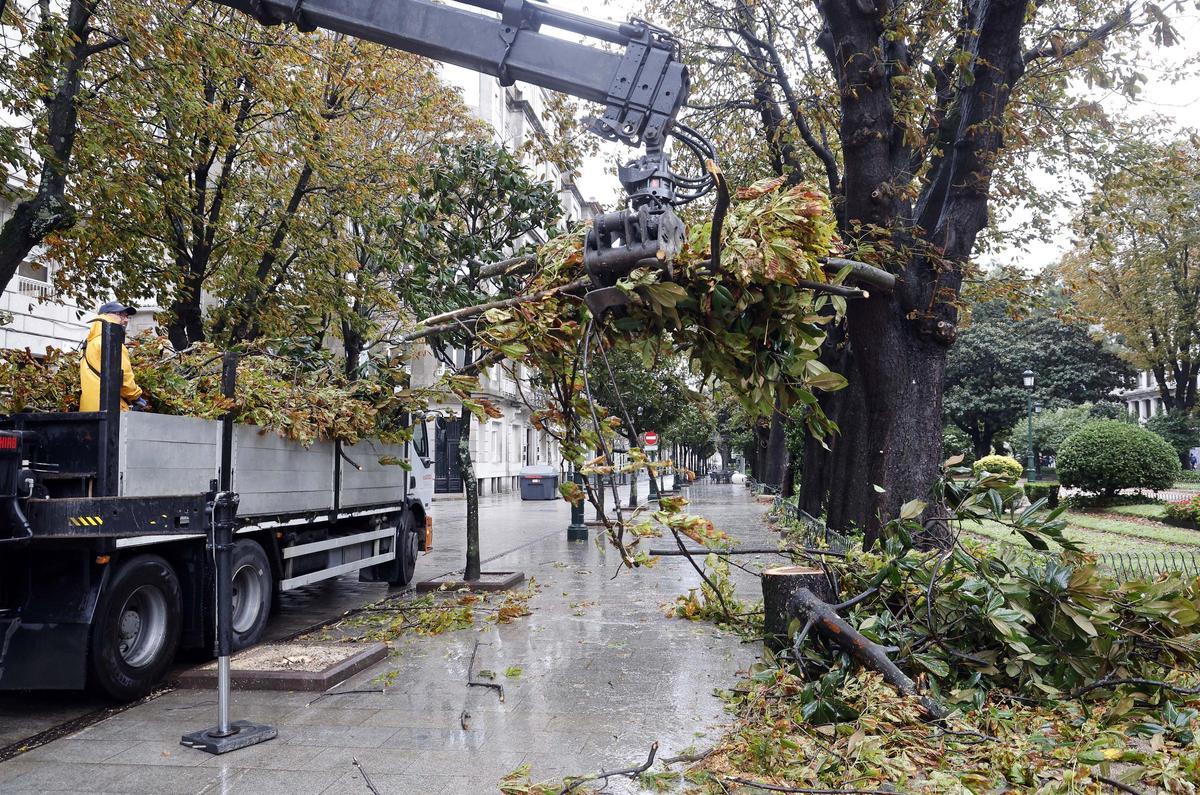 Árboles caídos por el temporal en la Alameda de Vigo